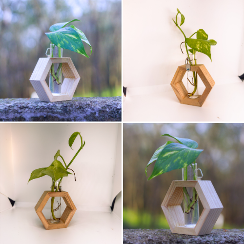 Evergreen Live Planter Hexagon Std