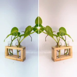 Evergreen Live Planter Rectangle 2 in 1